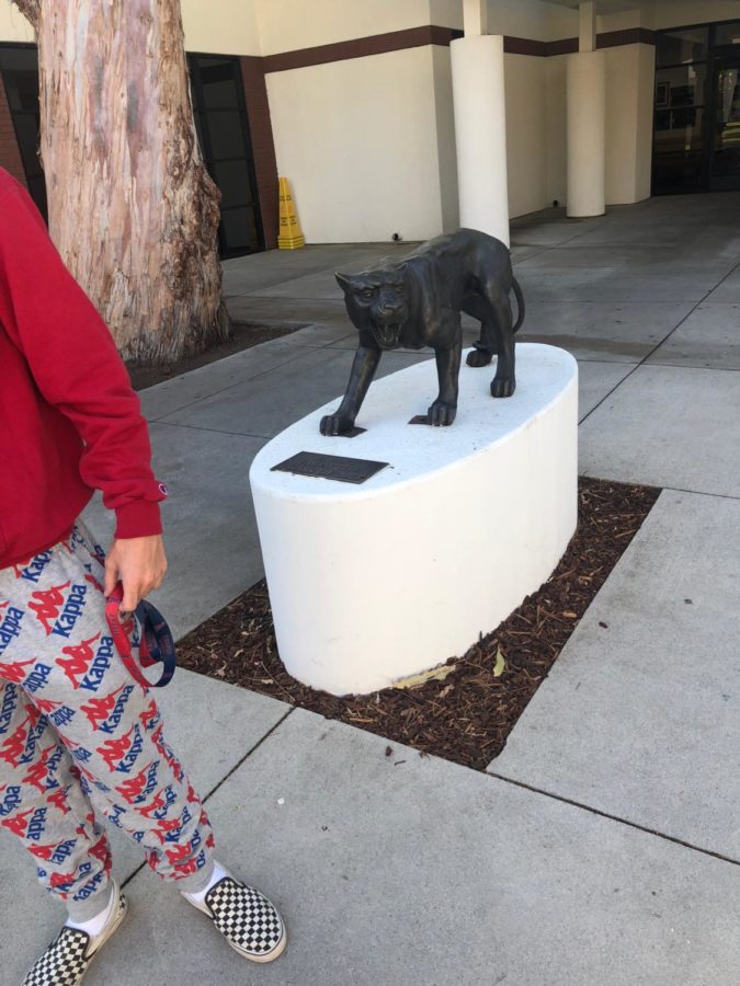The Jaguar Mascot Controversy