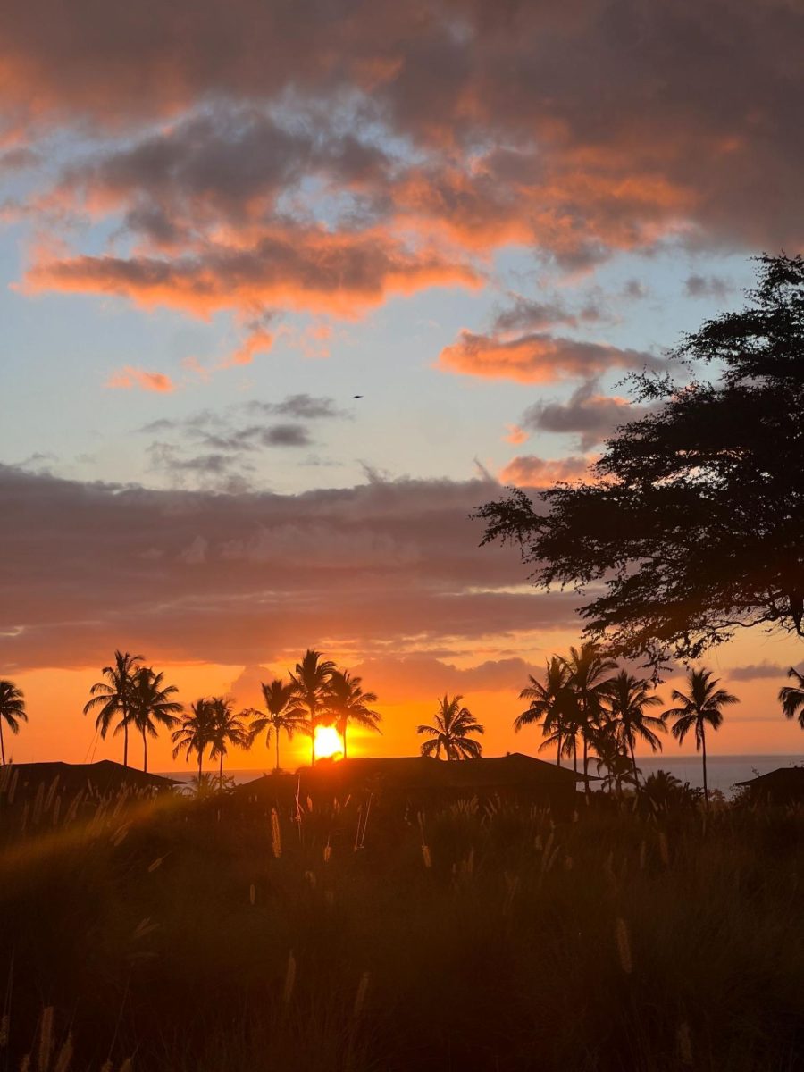 Images of sunsets, rainbows and snow