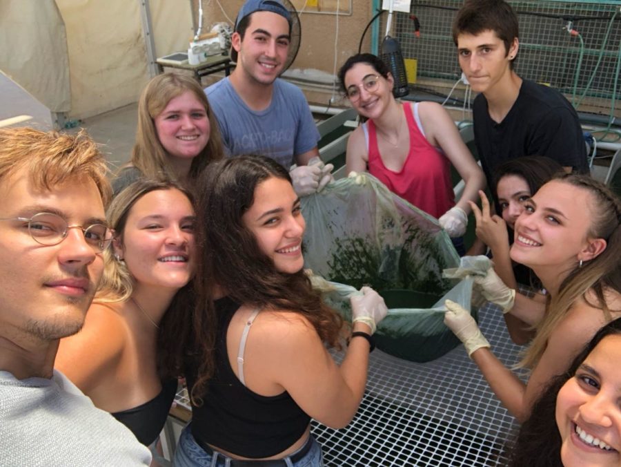 Science Academy Students Harvest Spirulina to Feed the World