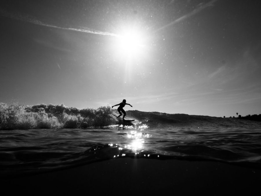 Surfing has been an important part of Shiras healing journey .