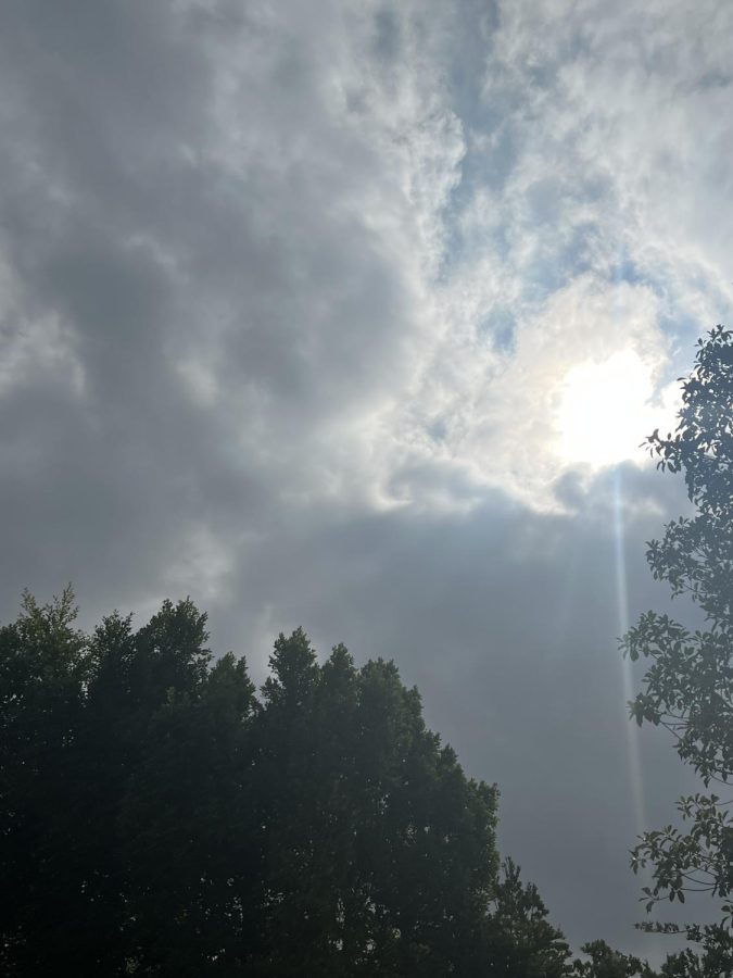 Being in my backyard with my dog with the sun shining through the clouds  makes me feel joyful and renewed.