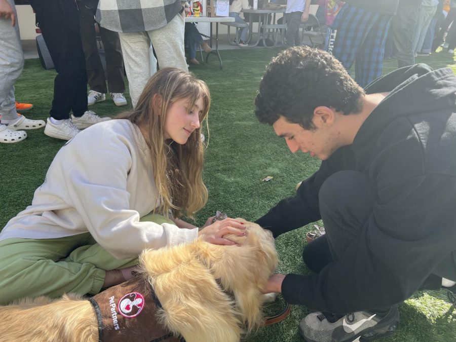 Noa B. (25) and Gabe N. (25) pet Bowie to relax and de-stress at the 5th Annual Mental Health Fair (Nov. 4, 2022).