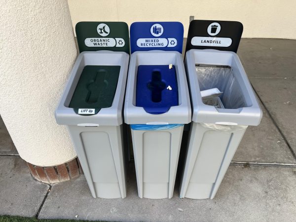 Compost Bin, Recycling Bin, Trash Bin: learn what goes in each.
