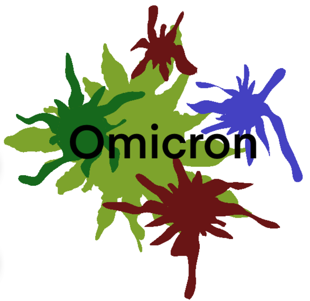 Omicron Spreads Rapidly