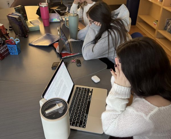 Seniors Mia B., Darcy G., and Rosie W. struggle to complete their work in the Monkarsh Den during a free period because of slow wifi.