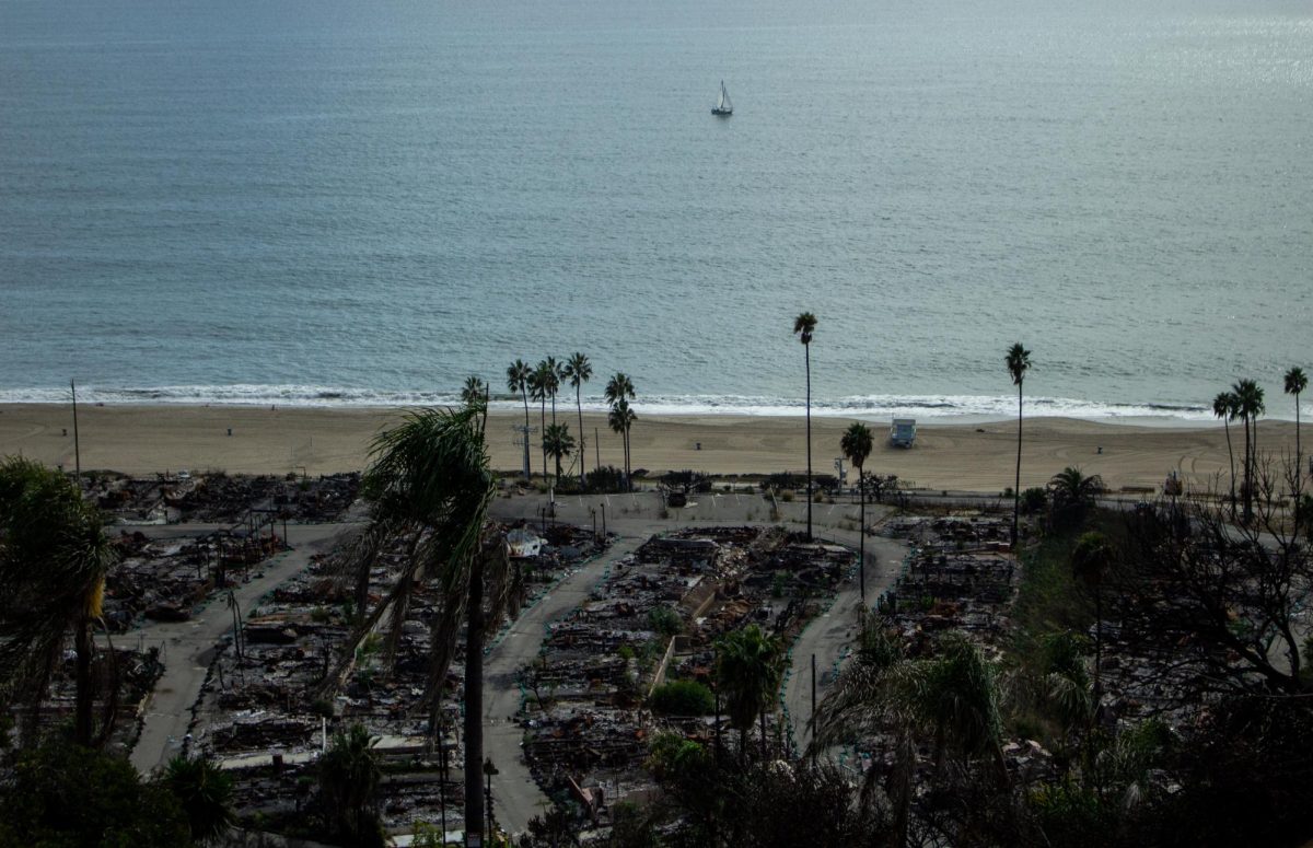 Picture of Pacific Palisades after the fires.
