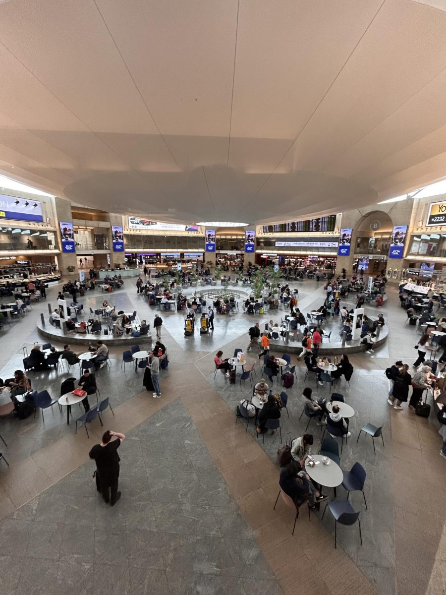 Elianah N. ('29) snapped a photo of the Tel Aviv airport terminal, full of travelers. 
